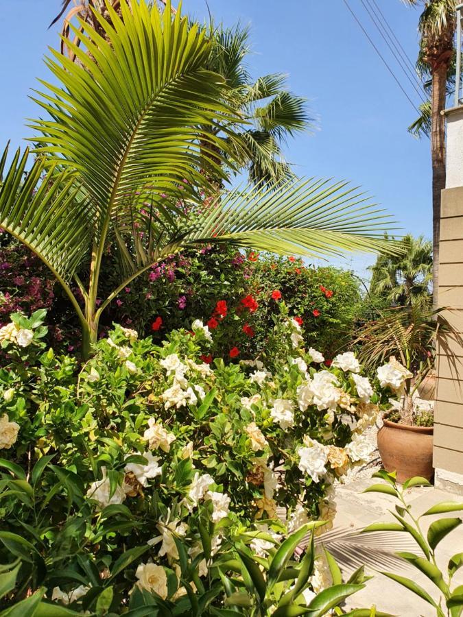 George Houses Pentakomo المظهر الخارجي الصورة