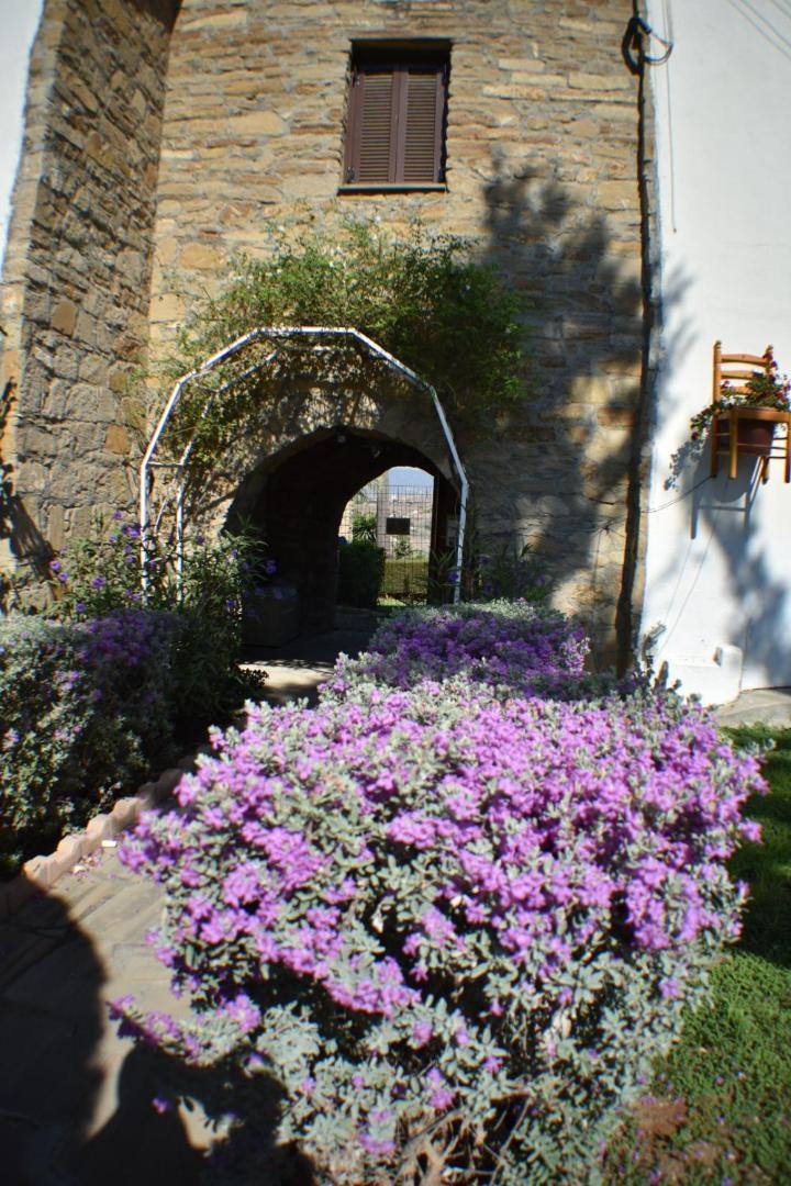 George Houses Pentakomo الغرفة الصورة